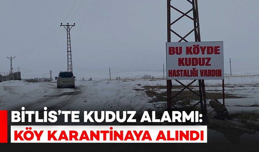 Bitlis'te Kuduz Alarmı: Köy Karantinaya Alındı