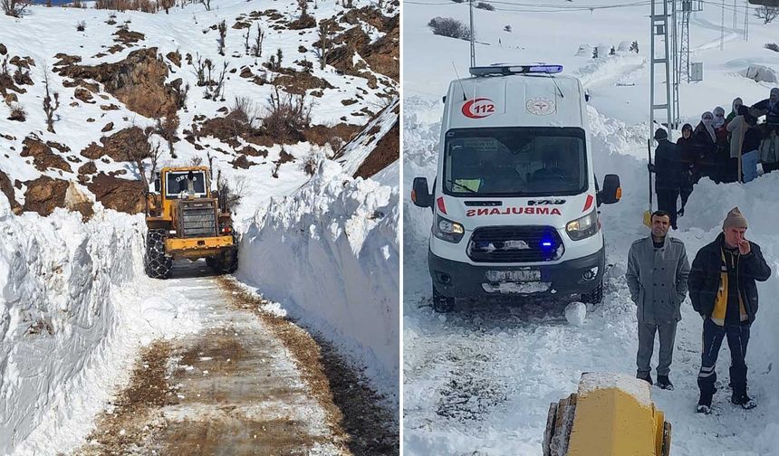 Bitlis’te Karla Mücadele Seferberliği Sürüyor