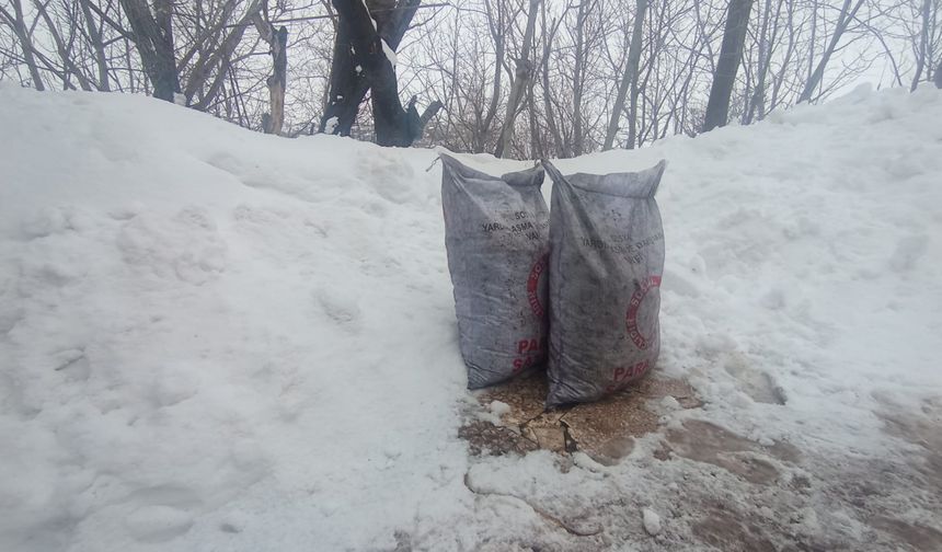 Bitlis’te Sert Kış Şartları Vatandaşı Zorluyor: Evlerde Kömür ve Odunlar Tükeniyor