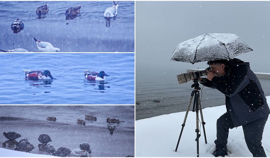 Tatvan’da Kış Ortasında Kuş Akını