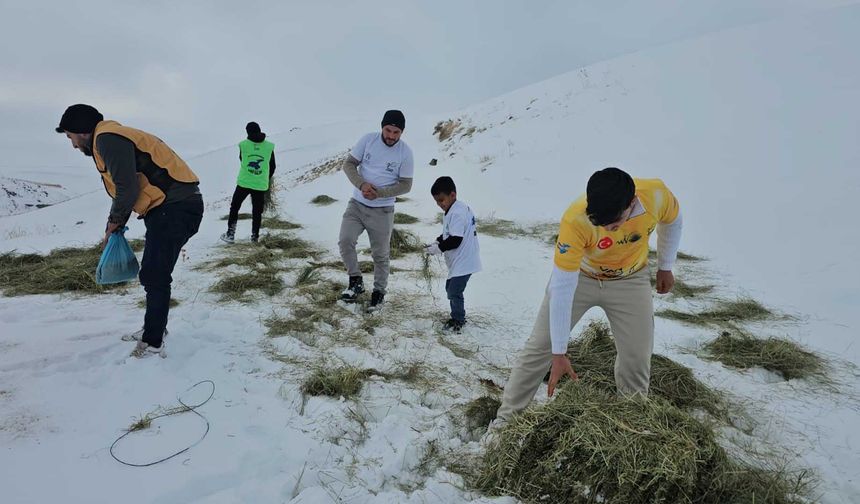 Adilcevaz’da Yaban Hayvanları Unutulmadı: Süphan Dağı Eteklerine Yem Bırakıldı