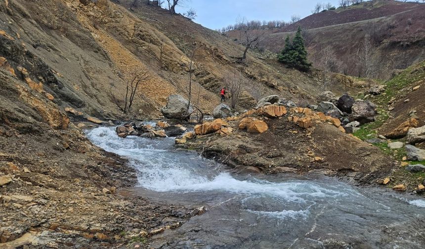 Diyarbakır’da Kaybolan Yaşlı Adam 11 Gündür Aranıyor