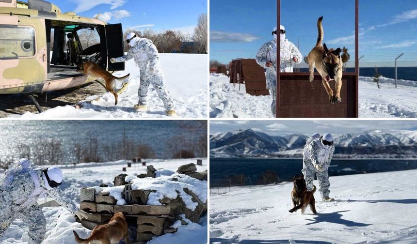 Bitlis'te Askerî Köpekler Zorlu Kış Şartlarında Eğitildi