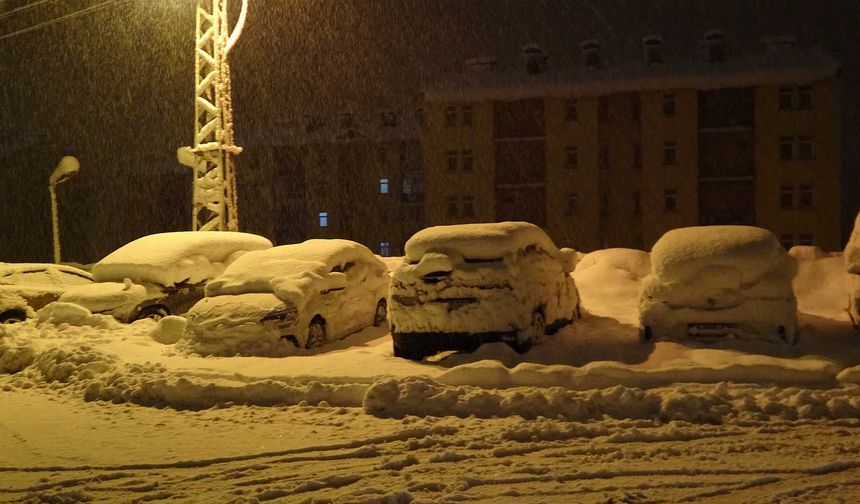 Bitlis’te Kar Yağışı Etkili Oldu