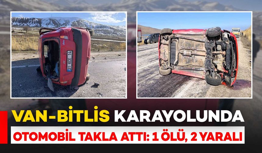 Van-Bitlis kara yolunda feci kaza: 1 ölü, 2 yaralı