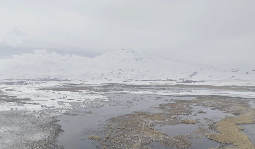 Bitlis'te Sarısu Sazlıkları ve Süphan Dağı'nın Karlı Zirvesi Hayran Bıraktı