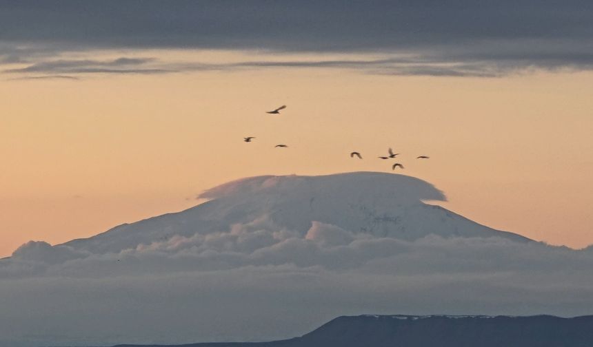Süphan Dağı zirvesindeki bulut denizi hayranlık uyandırdı