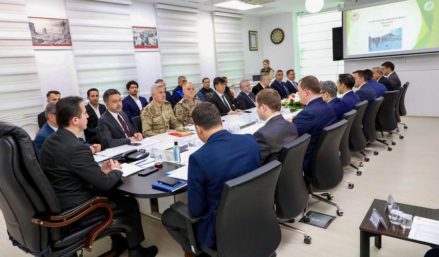 Bitlis’te Sahipsiz Hayvanlar Masaya Yatırıldı