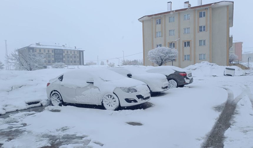 Bitlis'te mart ayının son günlerinde kar yağışı etkili oluyor