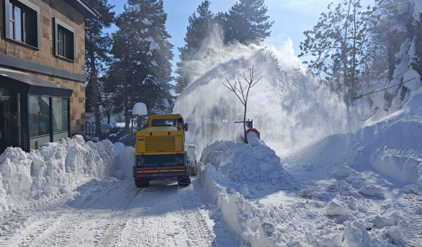 Bitlis Belediyesi Tüm İmkanlarıyla Sahada