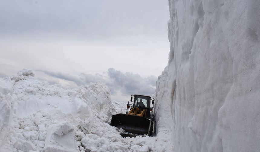 Bitlis'te bu sezon 8 metre, son 24 saatte 71 santimetre kar yağdı