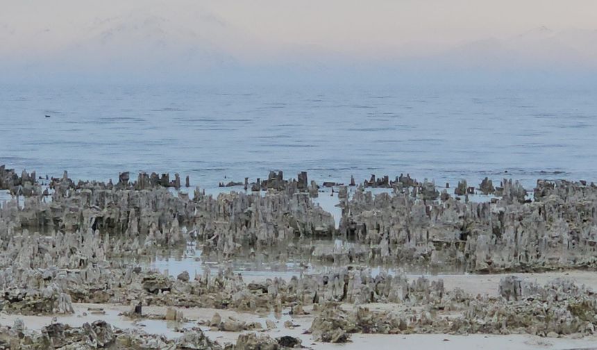 Van Gölü’nde kuraklık alarmı: Adilcevaz sahilinde mikrobiyalitler gün yüzüne çıktı