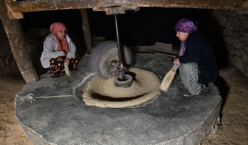 Hizan’da Asırlık Değirmende Doğal Pirinç Üretimi