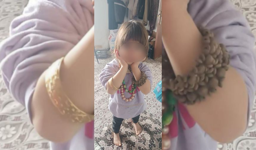 Bitlis'te evin önünde oynarken kaybolan 4 yaşındaki kız çocuğundan haber alınamıyor