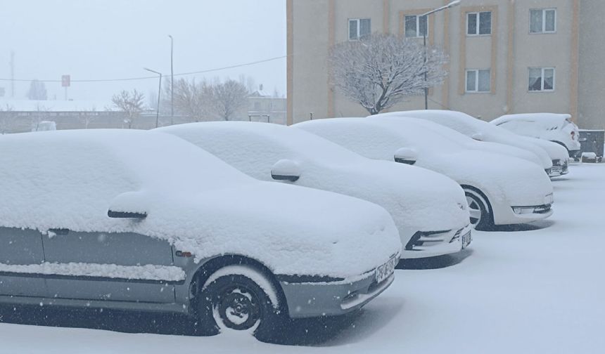 Bitlis'te yoğun kar yağışı etkili oluyor