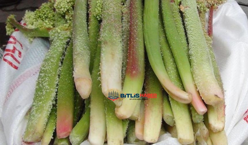 Yayla muzu fiyatıyla büryan kebabını geride bıraktı