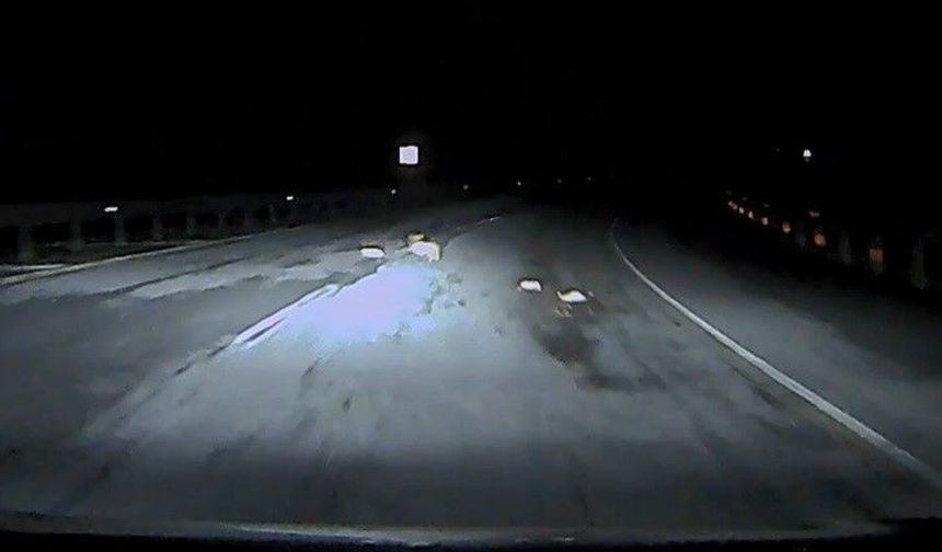 Bitlis’te yol kenarına atılan atıklar yaban hayatını ve trafiği tehdit ediyor