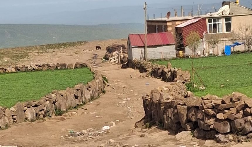 Bitlis’te ağır kış mevsiminde yıpran köy yolları  onarılıyor