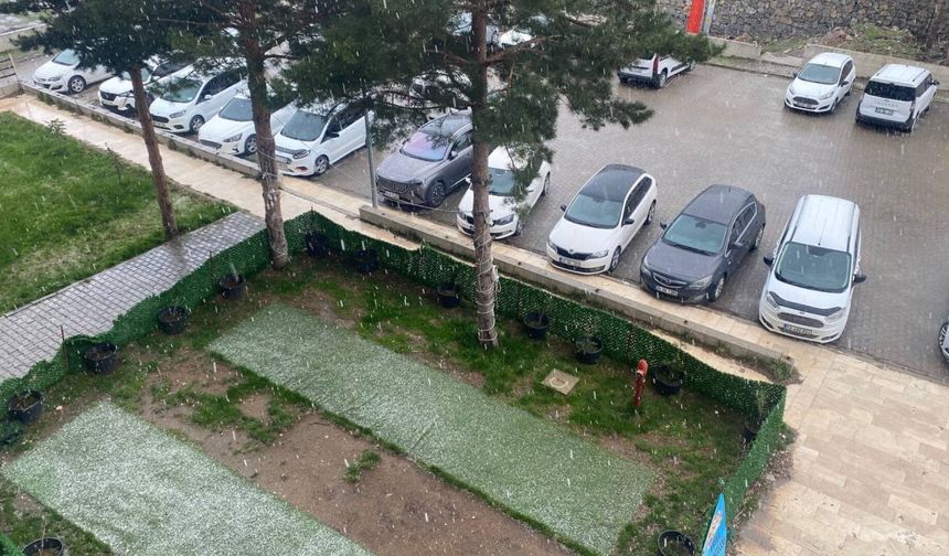 Bitlis'te dolu yağışı etkili oldu? Meyve ağaçları zarar gördü mü?