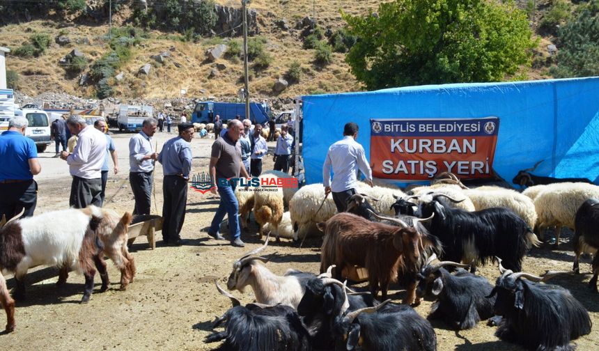 Bitlis'te Kurban Kesim ve Satış Noktaları belli oldu