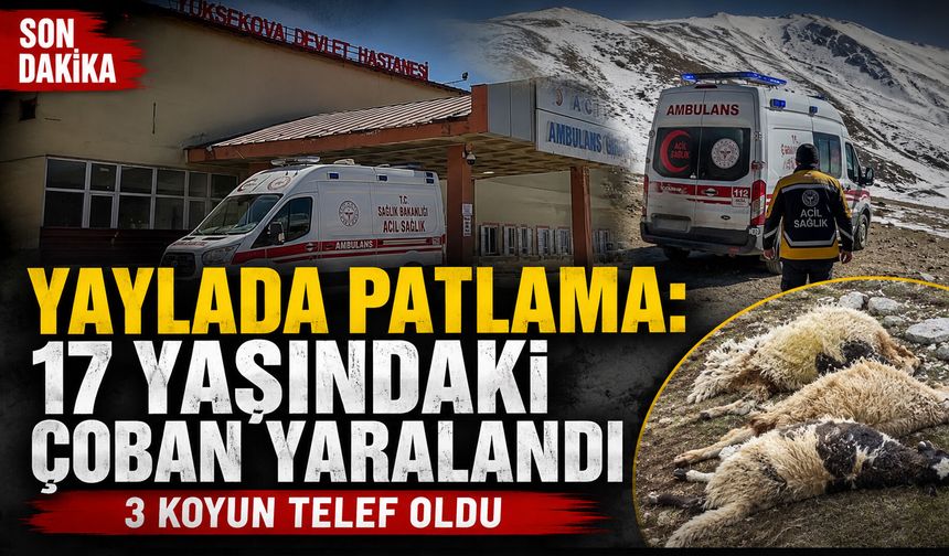 Yaylada Patlama: Bir Çoban Yaralandı, 3 Koyun Telef Oldu