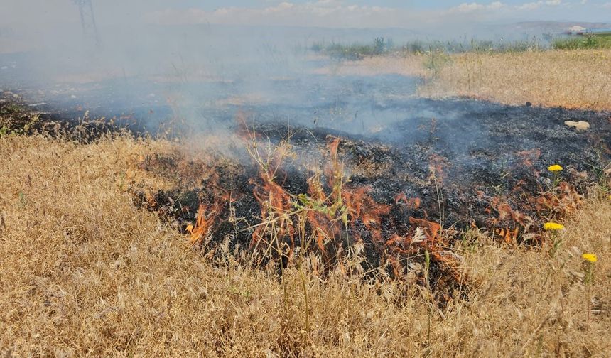Bitlis'te Otluk Alanda Çıkan Yangın Paniğe Neden Oldu