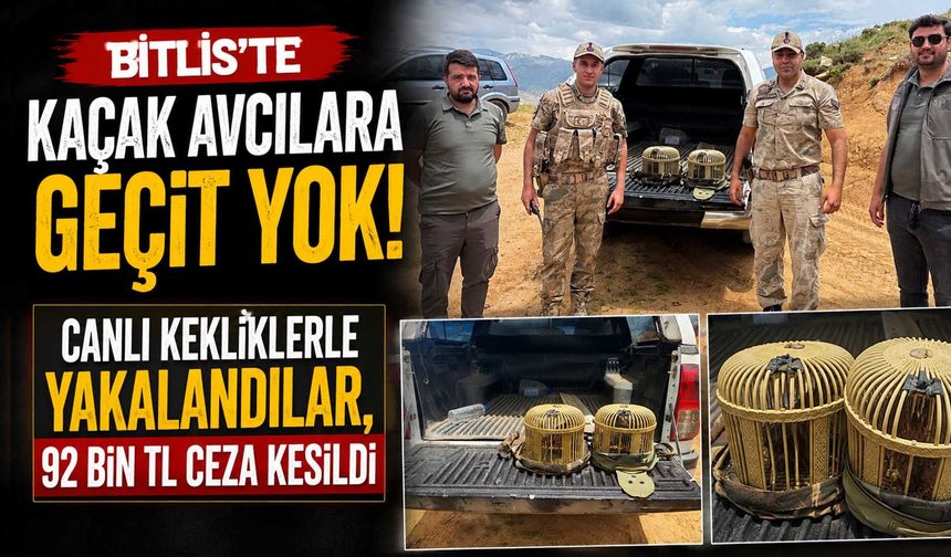 Bitlis'te Canlı Kekliklerle Yakalandılar, 92 Bin TL Ceza Kesildi