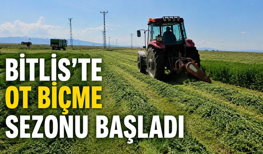 Bitlis'te Ot Biçme Sezonu Başladı