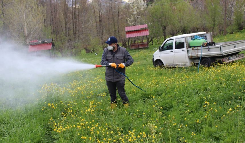 Bitlis’te Haşereyle Mücadelede Erken Önlem