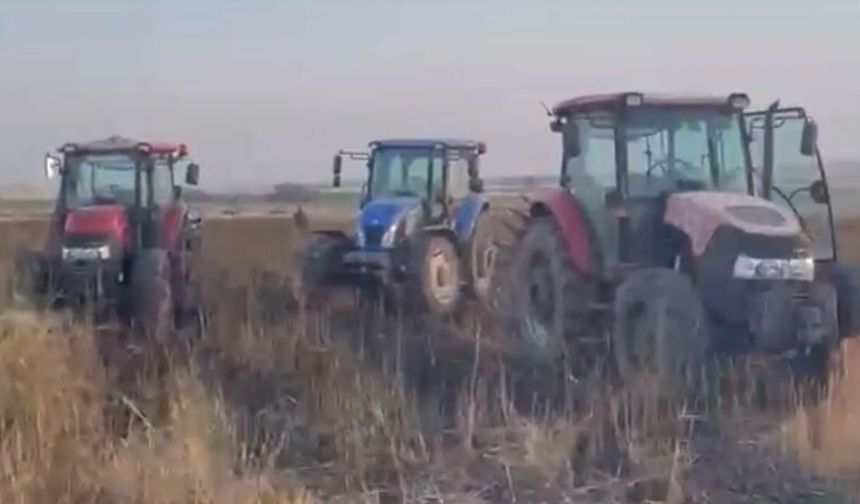 Mısır tarlası faciayı önledi: Buğday tarlası kül oldu