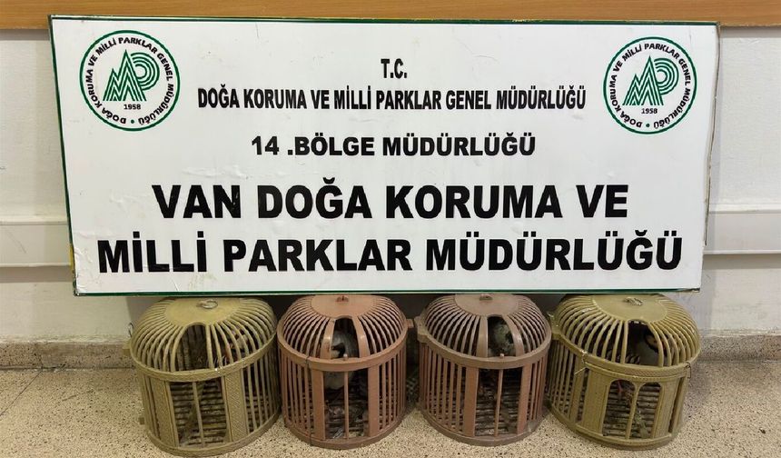 Van'da yasa dışı avcılığa 51 bin TL ceza