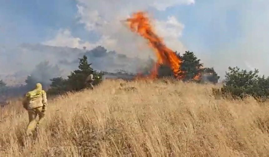 Orman Yangını Erken Müdahaleyle Kontrol Altına Alındı