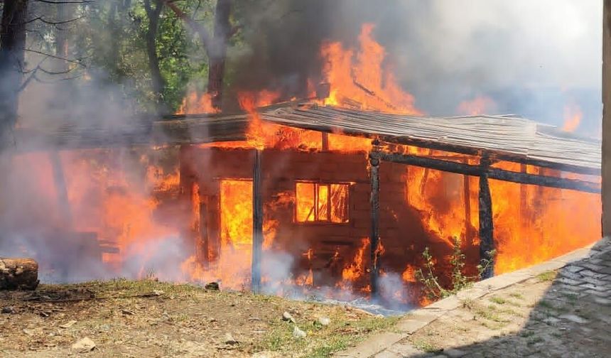 Bitlis'te Kereste Atölyesi Alevlere Teslim Oldu: Ev ve Mezarlık da Zarar Gördü