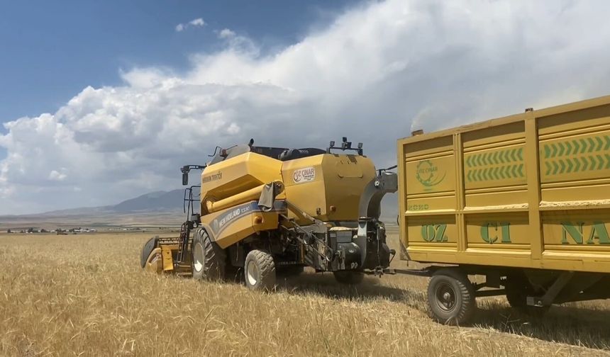 Bitlis'te 150 Bin Dekarlık Alanda Buğday Hasadı Başladı