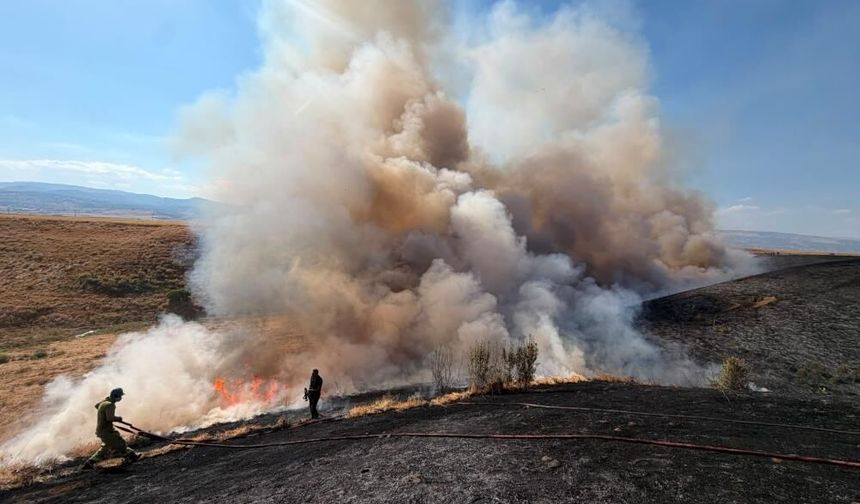 Bingöl'de arazi yangını: Bin dönüm buğday tarlası küle döndü