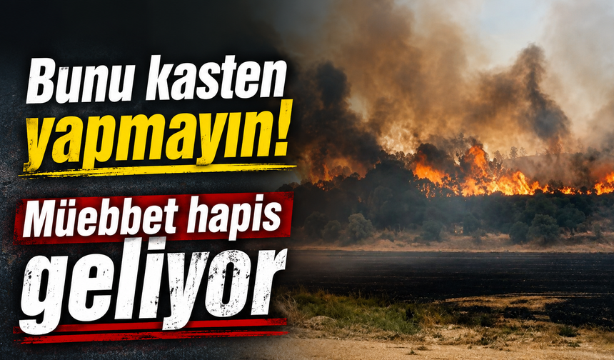 Bunu kasten yapmayın! Müebbet hapis geliyor