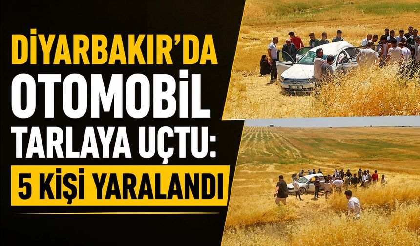 Diyarbakır'da Otomobil Tarlaya Uçtu: 5 Kişi Yaralandı