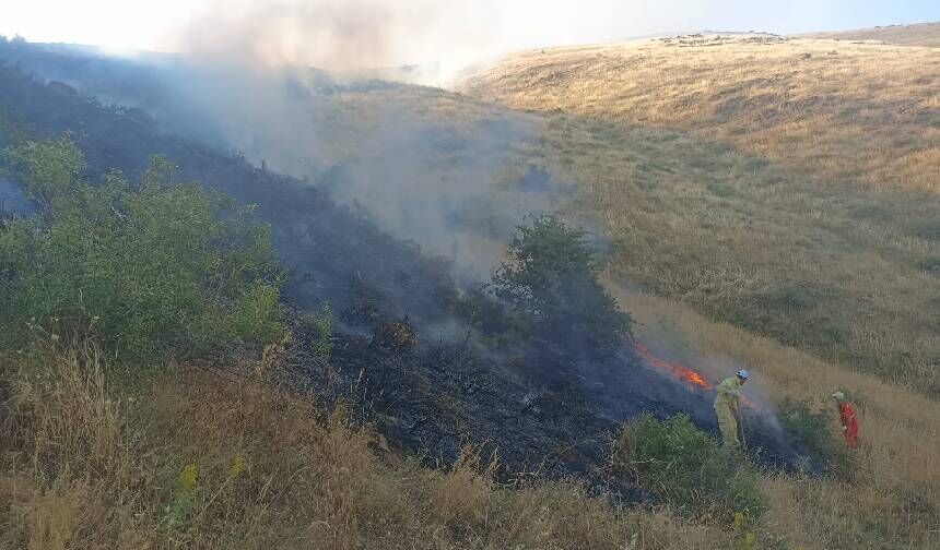 Tatvan’da Yangın: Yaklaşık 3 Bin Dekar Alan Zarar Gördü