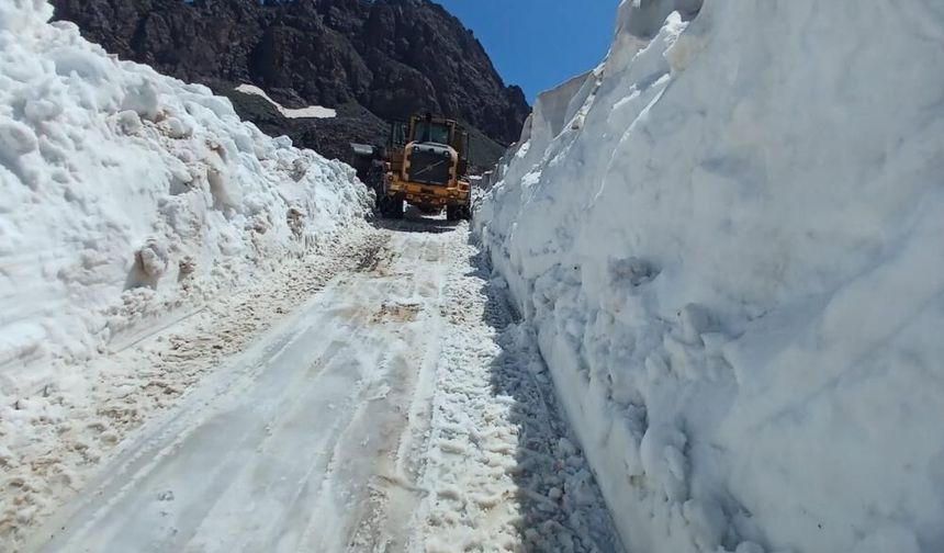 Hakkari'de temmuzda 5 metrelik kar duvarları arasında yollar açıldı