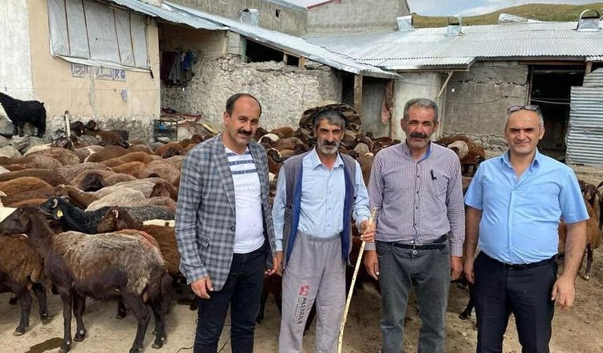 Küçükbaş yetiştiricilerine destek! Makine hibesi ve uygun fiyatlı ilaç