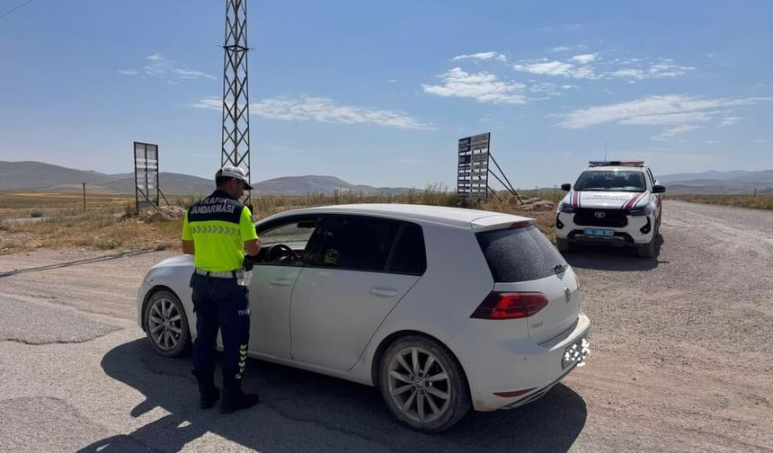 Ağrı'da binlerce araç ve kişi denetlendi