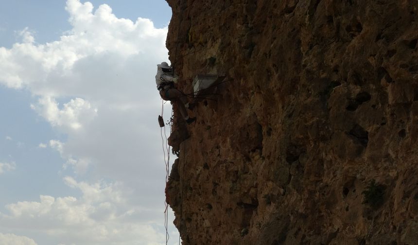 Bitlis'e komşu ilde öğretmenlikten kaya balı hasadına: Dronla görüntülendi