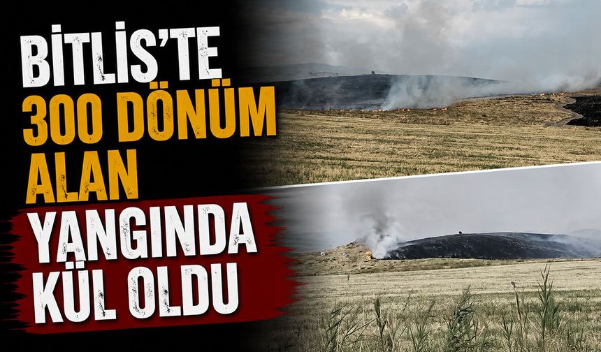Bitlis'te 300 dönüm alan yangında kül oldu