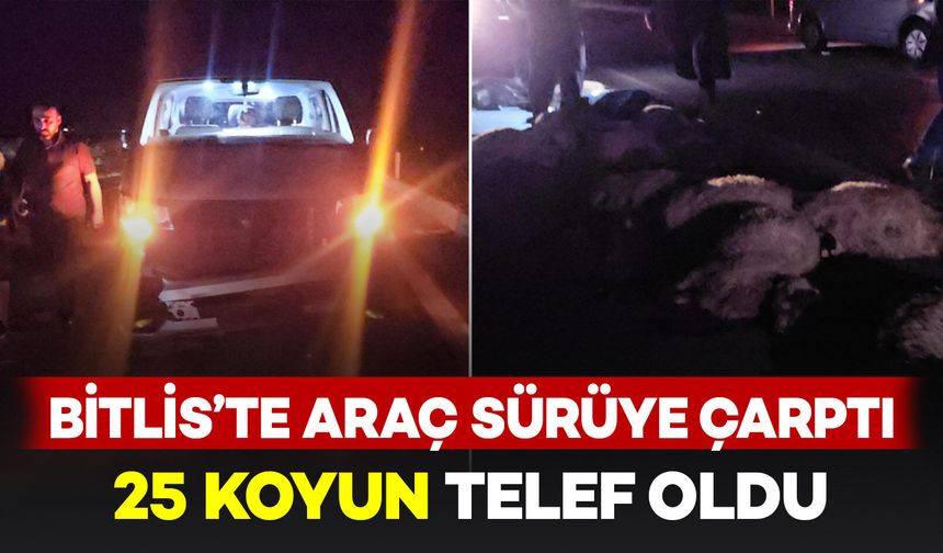Bitlis'te hafif ticari araç sürüye çarptı: 25 koyun telef oldu