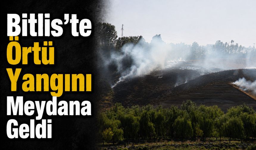 Bitlis'te Örtü Yangını Meydana Geldi