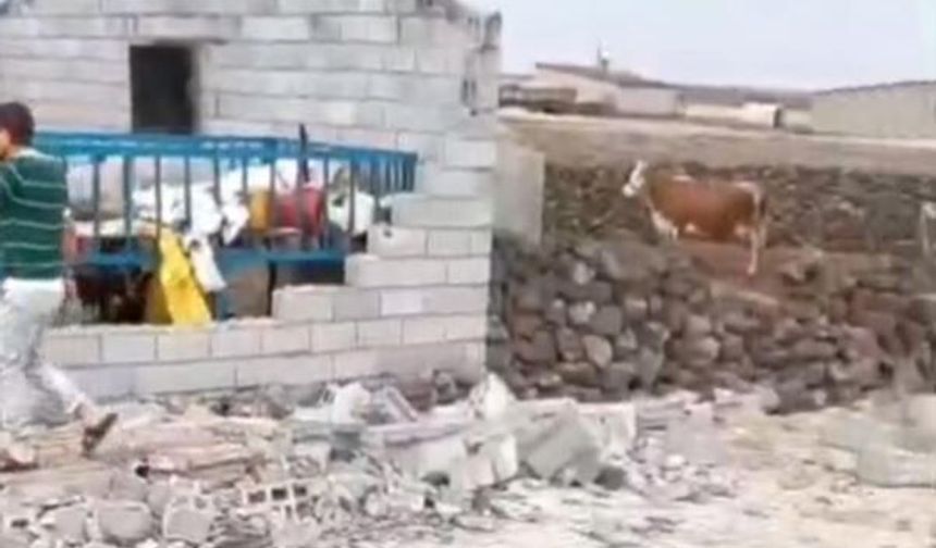 Diyarbakır'da şiddetli rüzgar ahırı yıktı: 2 çocuk yaralandı