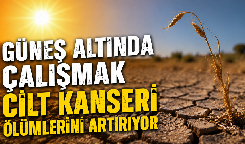 Güneş altında çalışmak cilt kanseri ölümlerini artırıyor