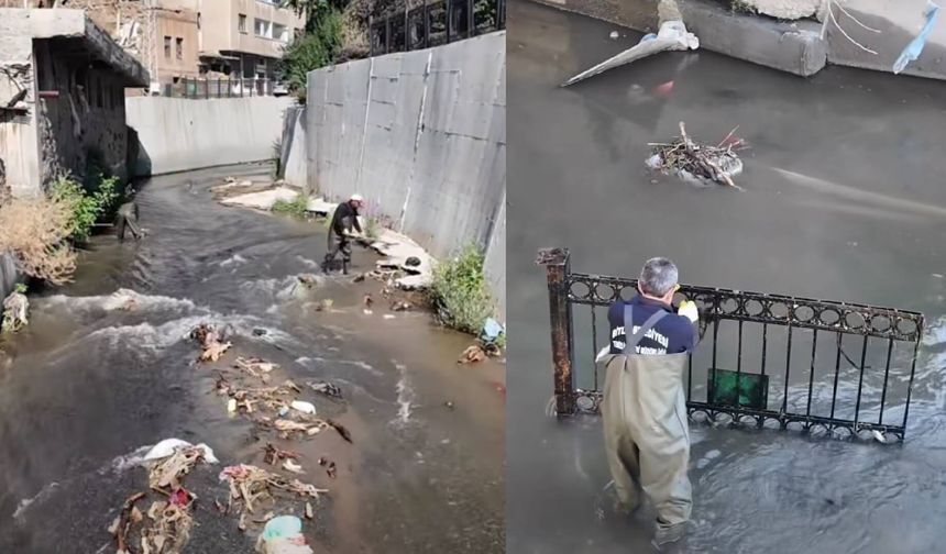 Bitlis’te dere temizliği sürüyor: Vatandaşlardan çöp atanlara ceza talebi