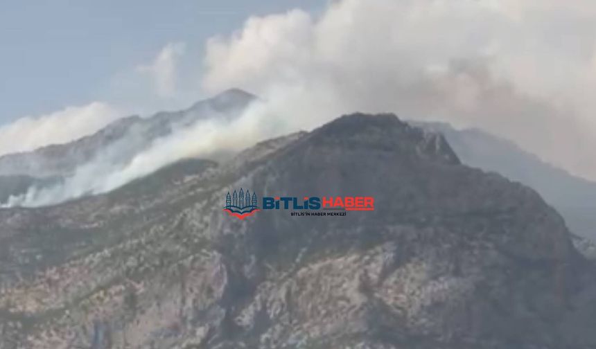 Bitlis-Baykan Arası Kalems Dağı’nda Yangın