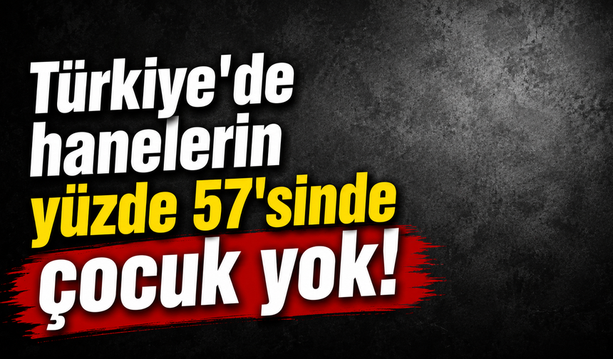 Türkiye'de hanelerin yüzde 57'sinde çocuk yok!